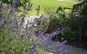 In 2015 Yorkshire in Bloom judges said “ High Royds Memorial Garden is a real gem. The raised beds around the entrance looked impressive packed with nectar-rich herbaceous perennials”. They went on to say it was capable of further development and in 2016 with the help of a grant from Tesco’s “Bag of Help” appeal and willing volunteers further work has been carried out in the garden and adjoining wood.